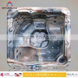 American Acrylic Material Balboa System Swim Spa /Massage Hot Tub thumbnail-3