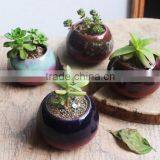 New Christmas Indoor Decor Glazed Small Succulent Pot thumbnail-3