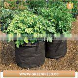 Green Field Durable High Quality Felt Root Tree Planting Bag Supplier thumbnail-5