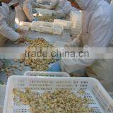 Tasty and Delicious Best Frozen Baby Clam Without Shell Iqf thumbnail-3