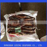 Frozen WR Illex Agentina Squid