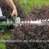550W Electric Hedge Trimmer thumbnail-2
