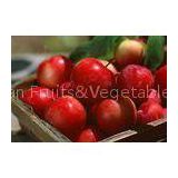 Round Pome Fruit Red Gala Apple Small , Average Weight 280g