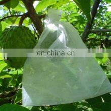 Low Cost Agricultural Greenhouse Anti Insect Proof Plastic Net Low Price thumbnail-3