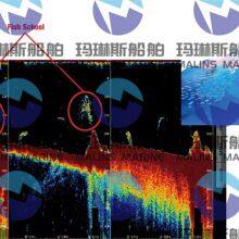 Furuno GP170 GPS Navigator thumbnail-4