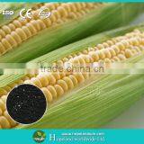 Agricutural Staw Decay Agent thumbnail-5