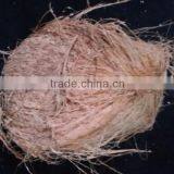 Coconuts for Sale thumbnail-1