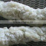 Advanced Modified Starch Extruder Production thumbnail-4