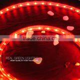 220 Volt 3528 SMD IP 65 Red LED Strip Lighting thumbnail-2