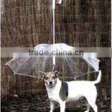 Dog Umbrella,Umbrellas,Other Pet Products Type Pet Dog Umbrella in Wholesale thumbnail-4