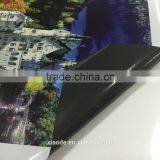 Self- Adhesive Vinyl Glossy(black/Gray Glue) for Car Advertisement thumbnail-3