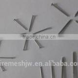 Umbrella Head Plain Shank Roofing Nails/Common Iron Wire Nail