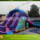 2016 Best Inflatable Pool Slide for Sale thumbnail-1