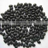 2014 Black Kidney Beans, Black Kidney Beans in Bulk thumbnail-3