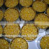 Canned Vacuum Packed Sweet Corn Kernels 2125g thumbnail-1