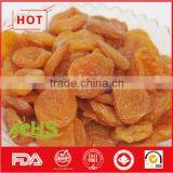Sour and Sweet Dried Apricots of Wholesale Price thumbnail-6