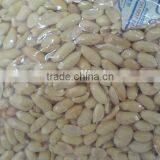New Crop Shandong Peanut (long) With Competitive Price thumbnail-5