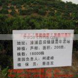 Zhangpu Yicai Fruit & Vegetable Co., Ltd. company overview - view 1 thumbnail