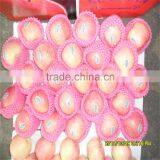 2014 New Chinese Fresh Red Fuji Apple thumbnail-4