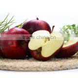Price for Fresh Apple on Sale thumbnail-6