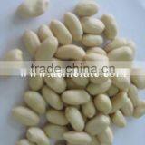 Hot Blanched Peanut Kernels