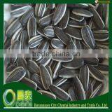 Striped Sunflower Seeds Nutrition thumbnail-1