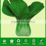 JPK01 Baicai High Quality of Chinese Pakchoi Seeds for Vegetable Seeds thumbnail-1