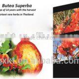 Pure Butea Superba Extract Capsules Enlargement Booster Increases Energy thumbnail-4