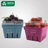 Trustworthy China Supplier Handle Paper Small Fruit Cartons
