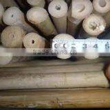 WY-213 2016 Hot Sale Natural Dry Strong Whole Part Moso Bamboo Poles for Agriculture and Construction thumbnail-4