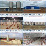 Steel Structure Broiler Poultry Farm House Design