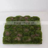SJ1401101 Guangzhou Shengjie Wholesale Decorative Artificial Moss Product thumbnail-4