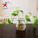 Decorative Clear Glass Vase/ Glass Water Plant Terrarium thumbnail-1