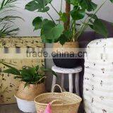 Natural Belly Seagrass Basket / Planter for Home Decoration thumbnail-3