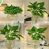 Clear Glass Flower Vase Ware Pineapple-shaped Glass Vase thumbnail-1