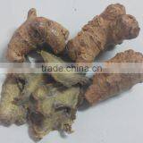 Top Quality Organic Panax Notoginseng Root/Powder thumbnail-5