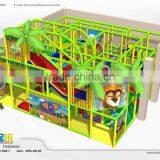 Jungle Themed Indoor Playground with Ce Certificate