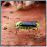 Green Energy Product Solar Toy Kit Insect Locust Grasshopper Solar Gift 054-0