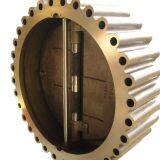 Дисковый обратный клапан thumbnail-1