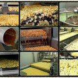 How Does The Automatic Corn Tortilla Chips Continuous Fryer Work thumbnail-4