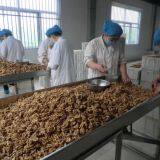 China Aaaa Cheap Quality Walnut Kernel thumbnail-3