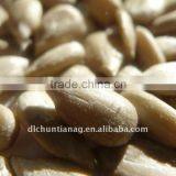 Organic Chinese Sunflower Seed Kernels thumbnail-1