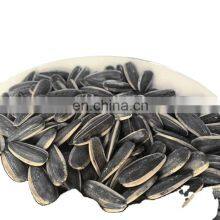 Giant Sunflower Thresher Seeds Tone Unhulled Seeds Sunflower Magnolia 170 for Birds Human Bakery thumbnail-5