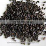 Tukmaria thumbnail-2