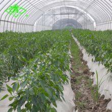 UV Protection Mist-resistant 3-5 Layers Heat Keeping Daylight Greenhouse Film thumbnail-3