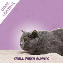 Lavender Scent Bentonite Cat Litter Gerry Pet Dust Free 20L /10L /5L thumbnail-3
