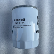 Hot Selling High Quality Fuel Filters 1000395855 Oil Filter for Wei Chai Top Construction Machinery Parts thumbnail-2