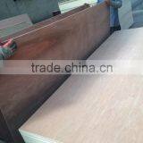 Commercial Plywood thumbnail-5