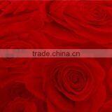 Bottom Price Hot Selling Cotton Bedding Set 140x200 thumbnail-1