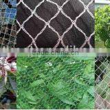 HDPE(PE) Anti-bird Net / Petco Telescoping Handle Pet Bird Net